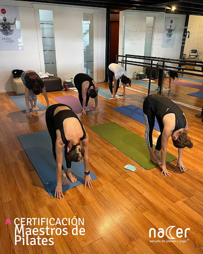 NACER Estudio Pilates y Yoga — Pilates en Puerto Vallarta